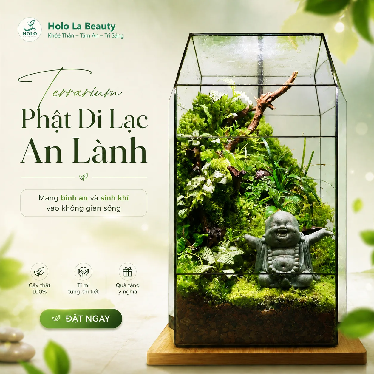 ⭐Bể Terrarium–Phật Di Lạc An Lành