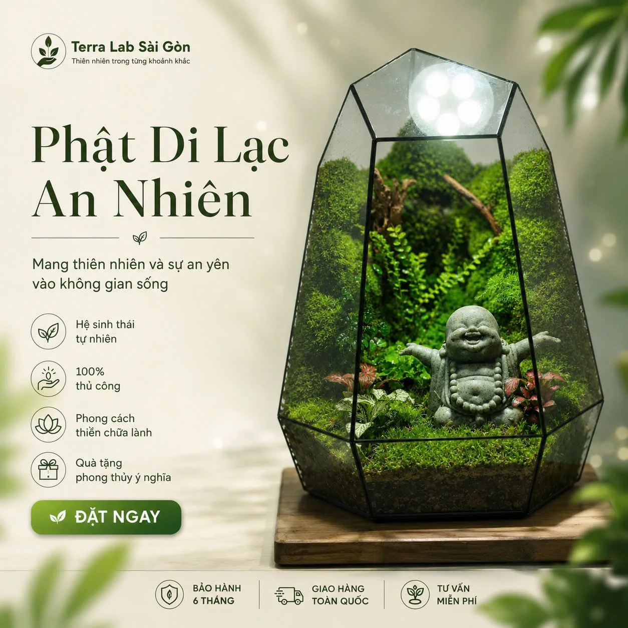 ⭐️Bể Terrarium- Phật Di Lạc An Nhiên