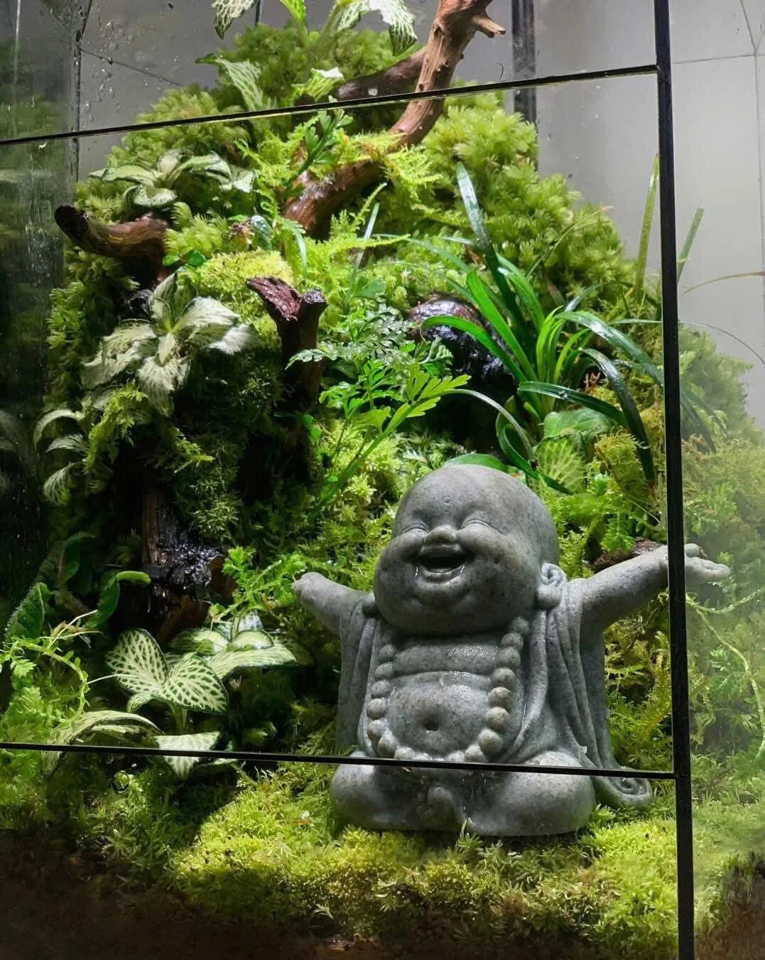 ⭐Bể Terrarium–Phật Di Lạc An Lành